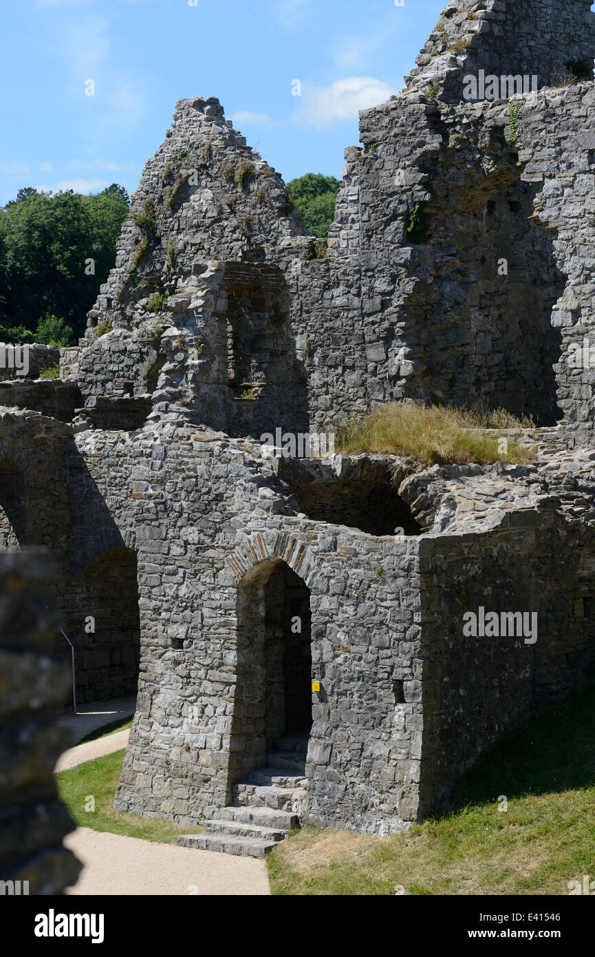 ruined walls inside oystermouth castle Stock Photo