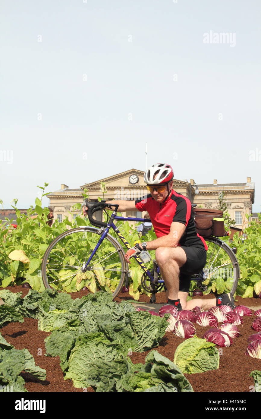 Huddersfield, West Yorks, UK. 2nd July 2014.  Cyclist Maurice Legood, 67, from Dewsbury pauses to admire farm. French farmers, vegetable plots, sheep, chickens, pigs & a cow appeared overnight in St George’s Square to greet commuters outside the train station. The working farm, that also features 1700 lettuces & 700kg of vegetables, marks the finale of the 100-day Yorkshire Festival 2014, celebrating The Grand Depart coming to the county. Credit:  Deborah Vernon/Alamy Live News Stock Photo
