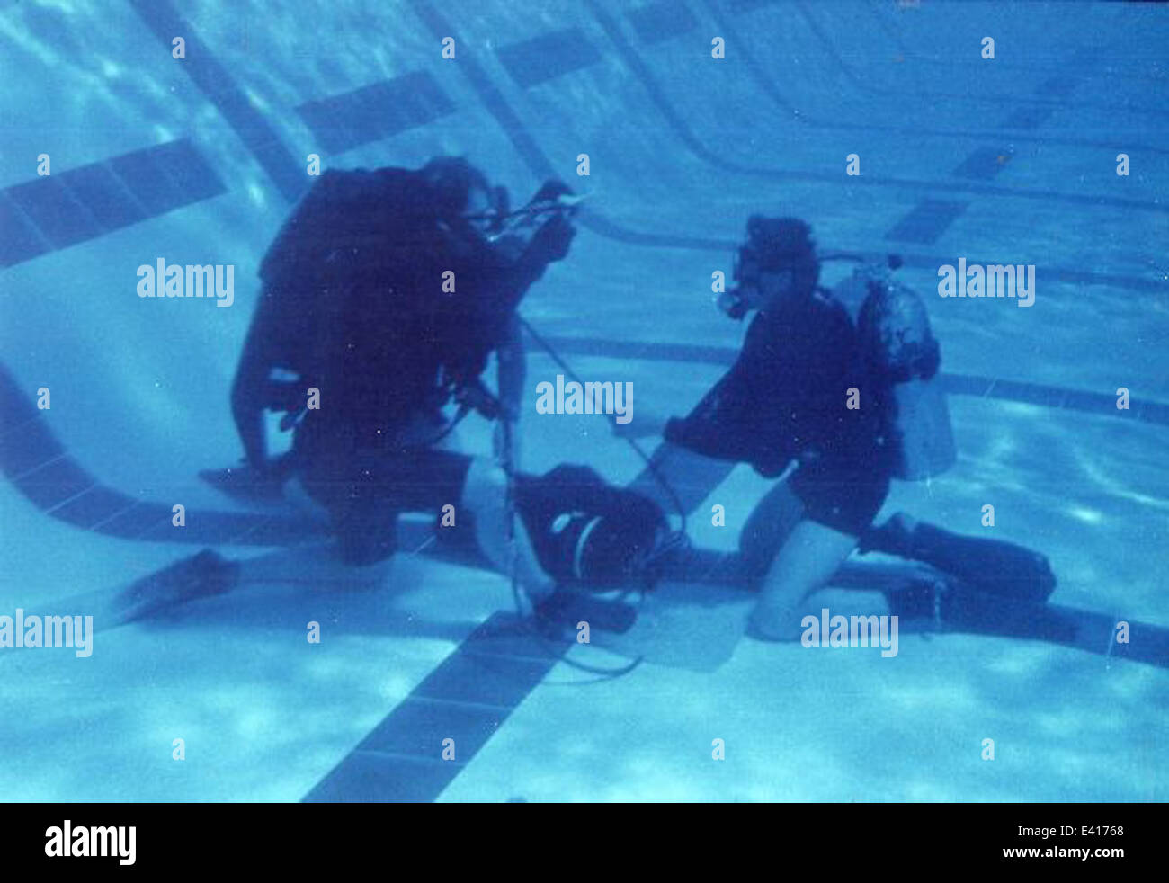 Buds training switching tanks underwater Stock Photo Alamy