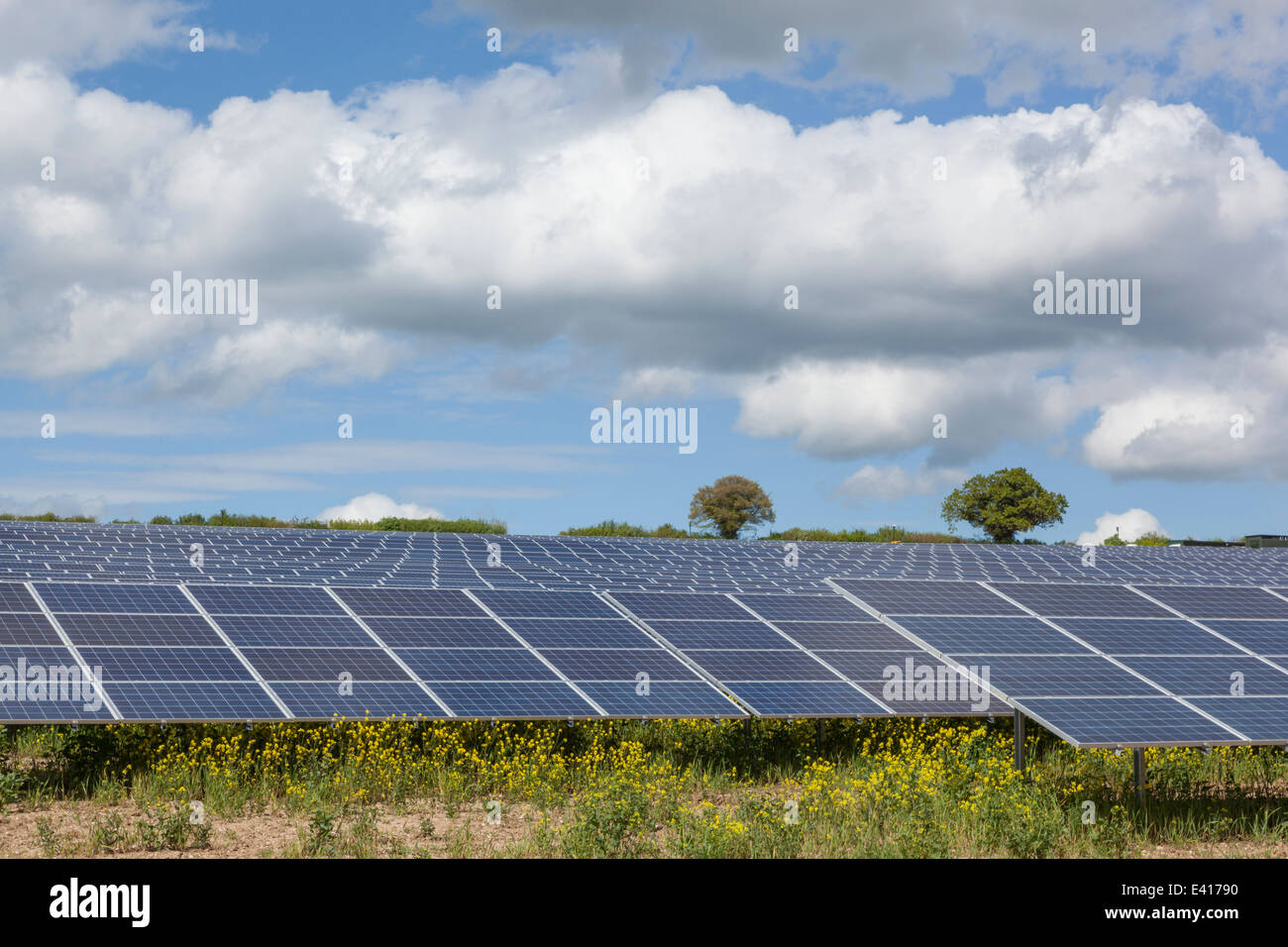 England, Hampshire, Solar Panel Farm Stock Photo