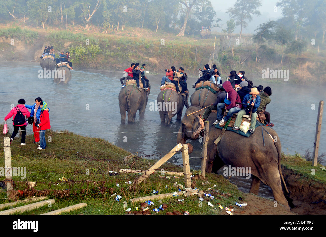 Elephants In Sauraha Nepal High Resolution Stock Photography and Images ...