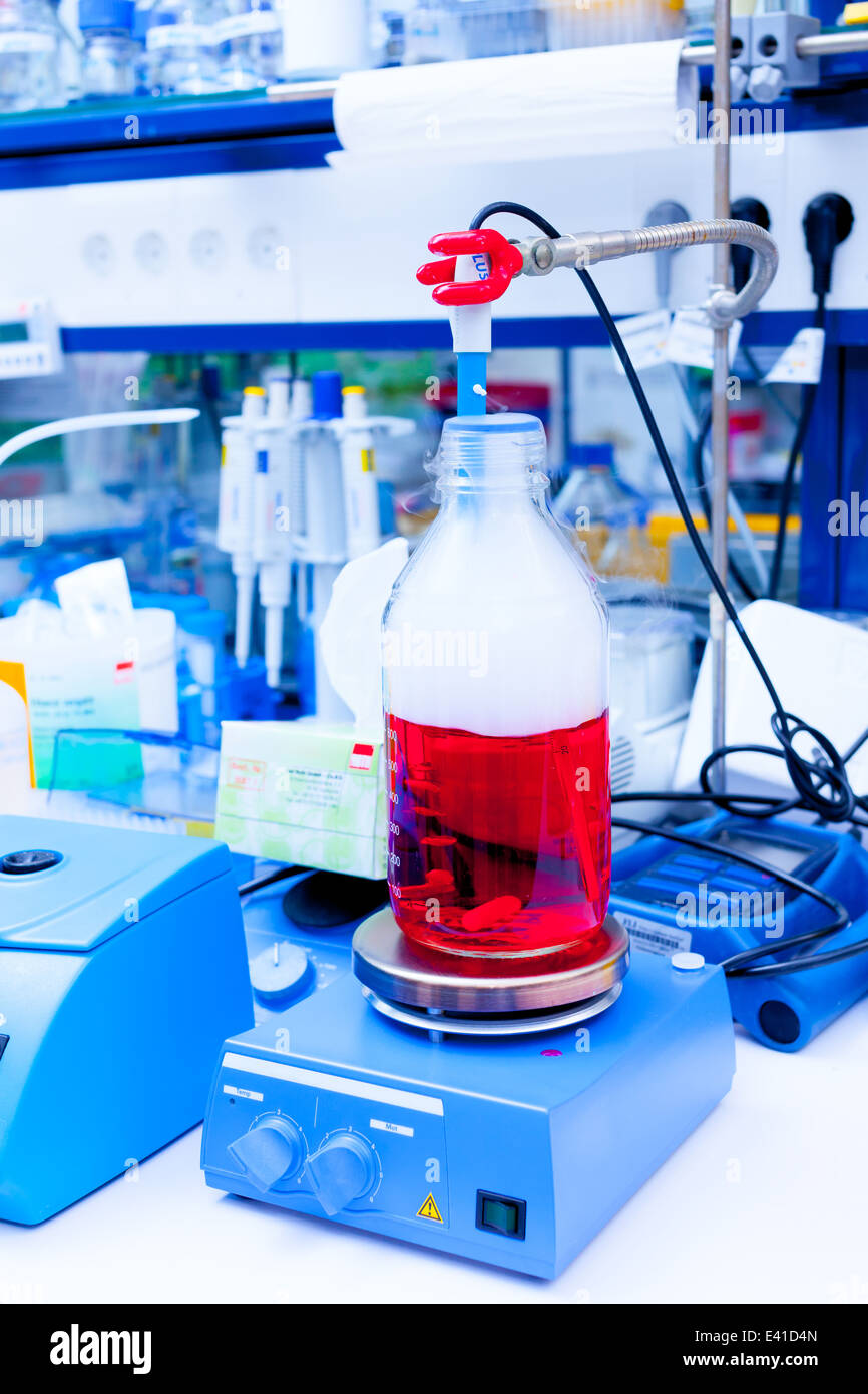 Laboratory research and development of cell therapy Stock Photo