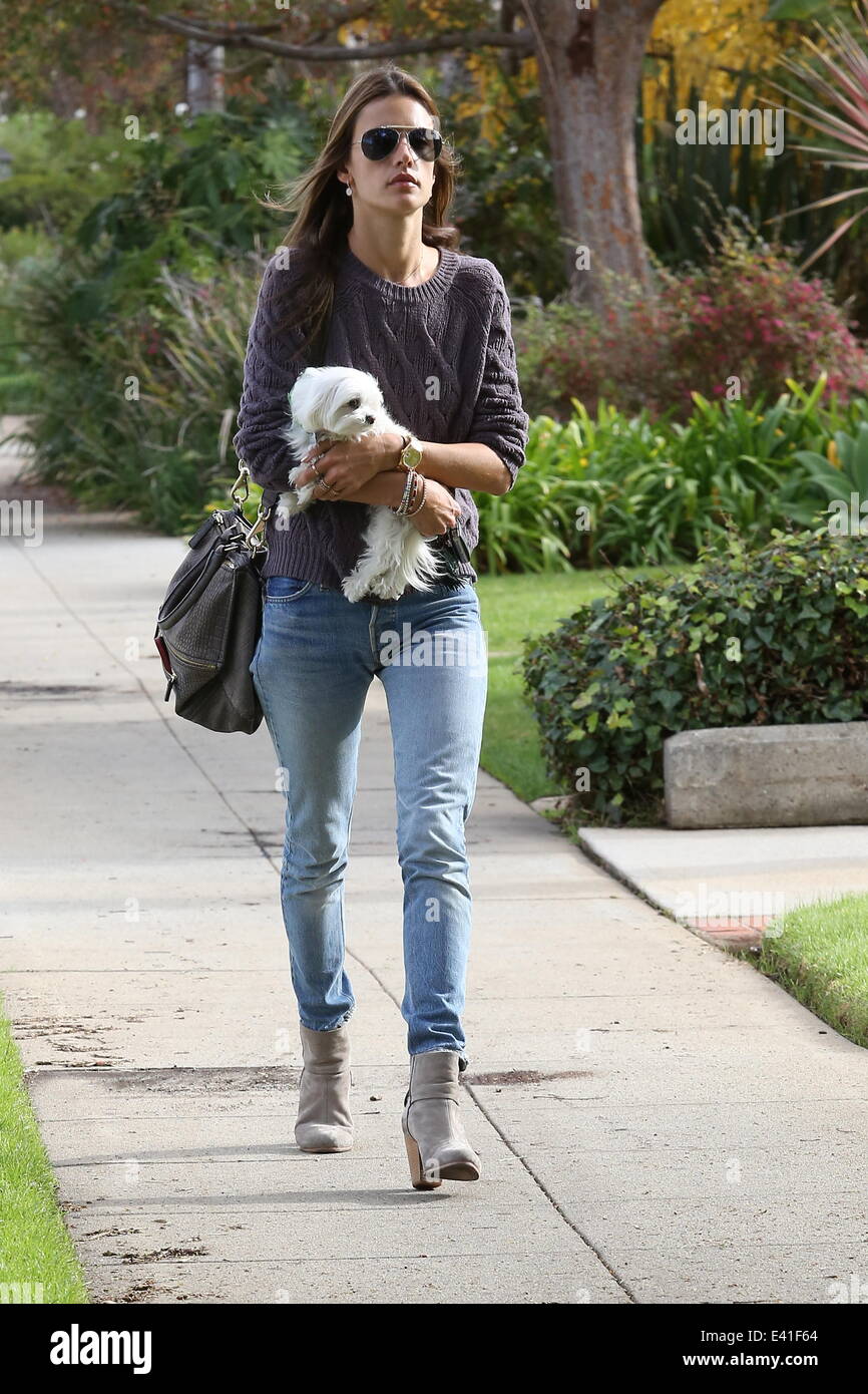 Alessandra Ambrosio out with her daughter Anja and dog in Santa Monica