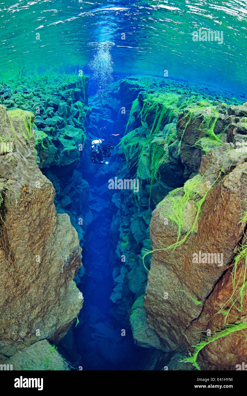 Silfra, Silfra - the freshwater fissure between the continents, Silfra, thingvellir Nationalpark, Iceland Stock Photo