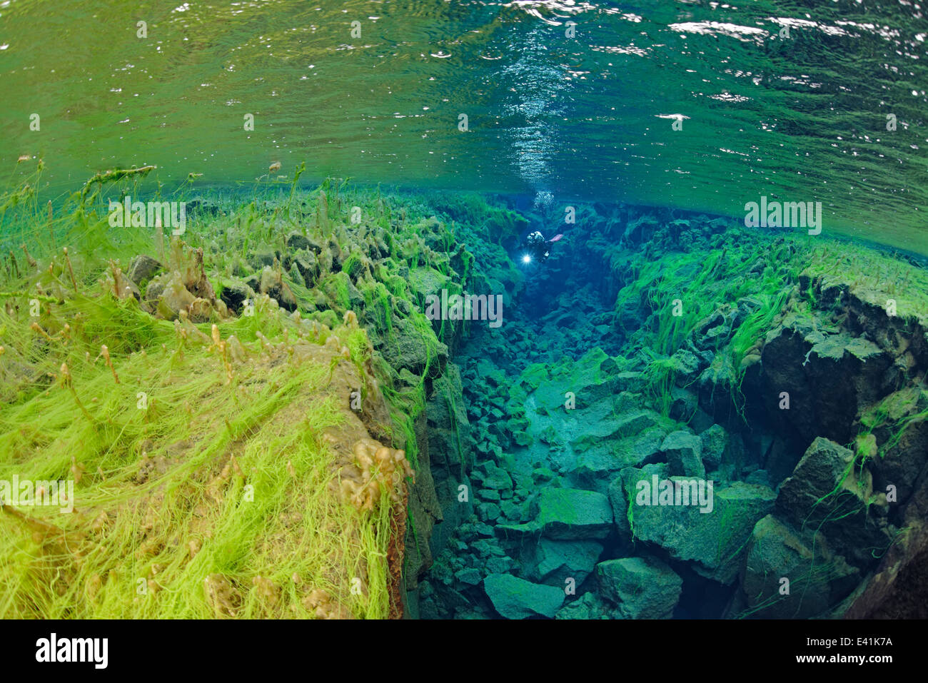 Silfra, Silfra - the freshwater fissure between the continents, Silfra, thingvellir Nationalpark, Iceland Stock Photo