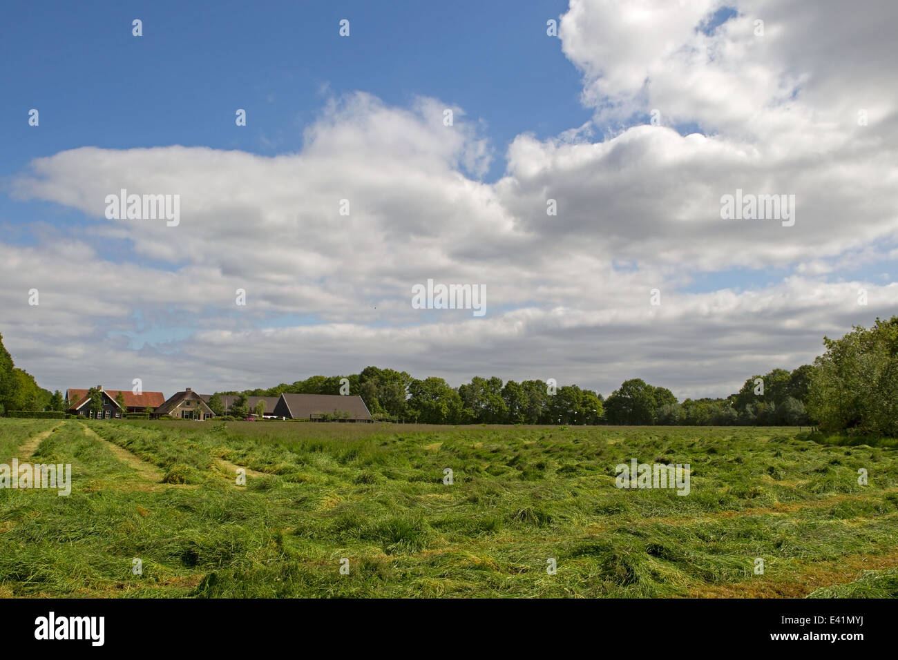 Mowing grassland hires stock photography and images Alamy