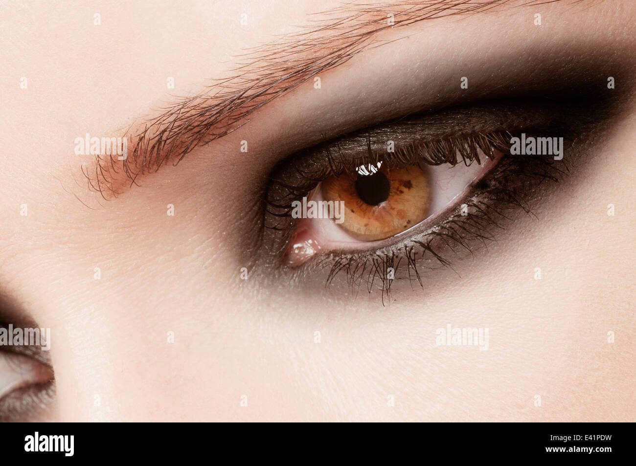 Brown eye macro Stock Photo