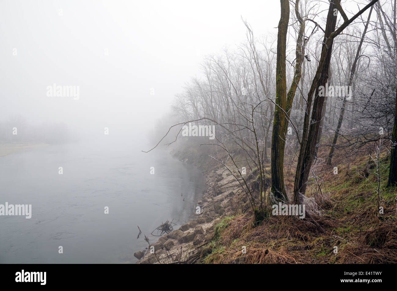 River bank shrouded in fog Stock Photo - Alamy