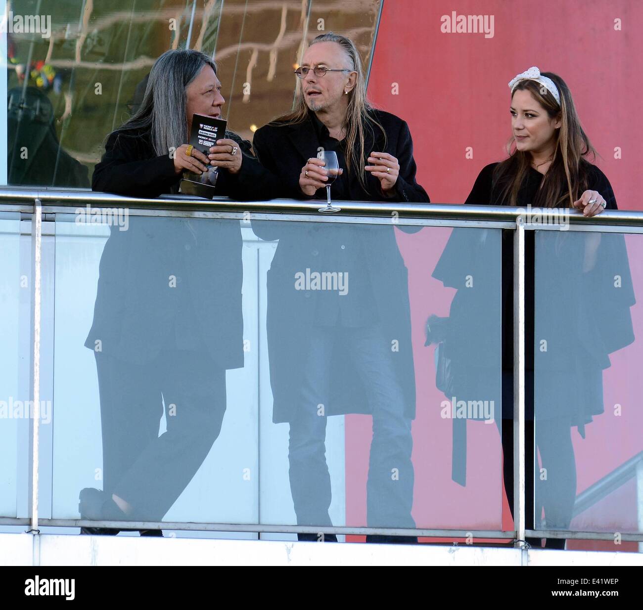 Guests at the annual St Stephen's Day Races 2013 at Leopardstown ...