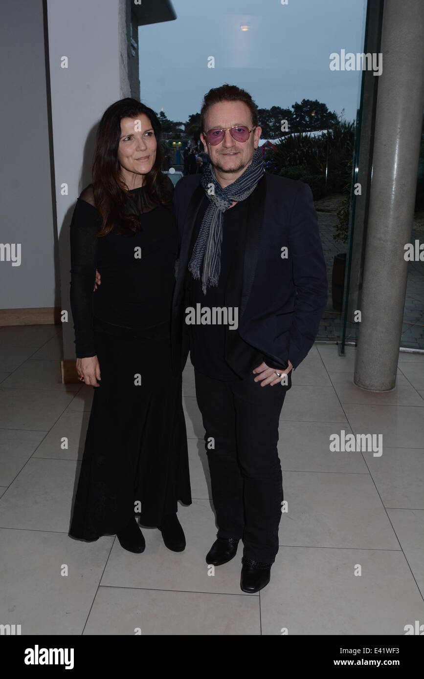 Guests at the annual St Stephen's Day Races 2013 at Leopardstown ...