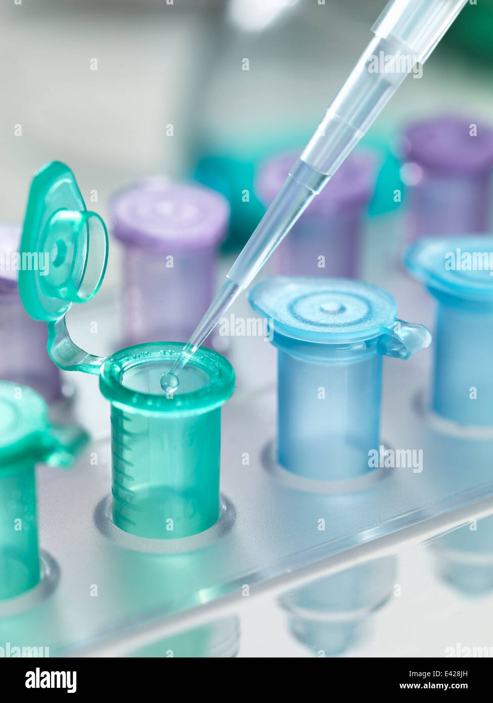 Pipette dropping a solution into a vial, used for storing liquid during chemical or biological research Stock Photo