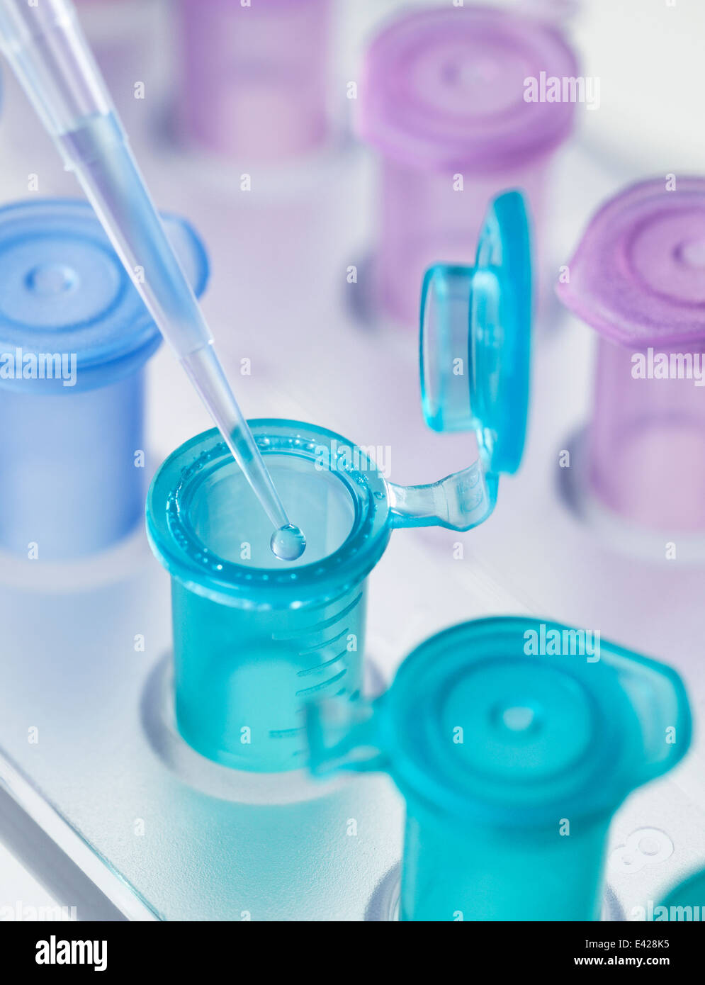 Pipette dropping a solution into a vial, used for storing liquid during chemical or biological research Stock Photo
