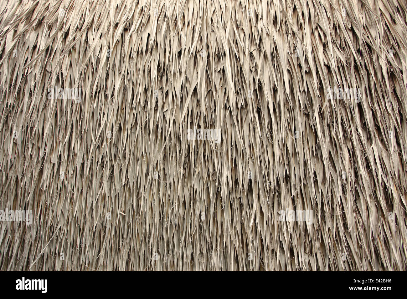 Thatched Roof Stock Photo