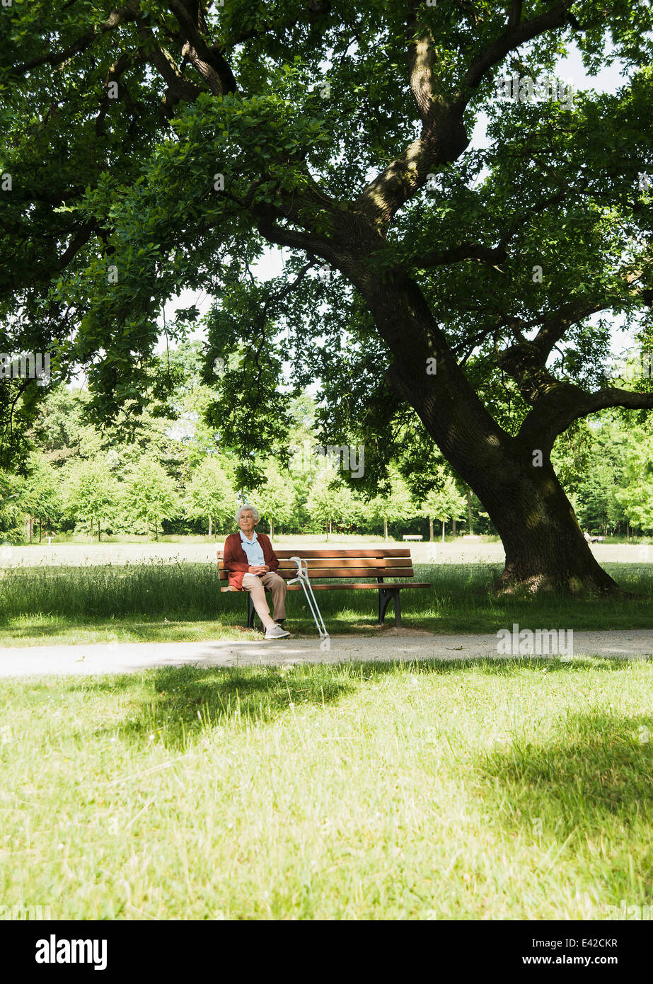 Senior woman sitting on park bench in park Stock Photo - Alamy