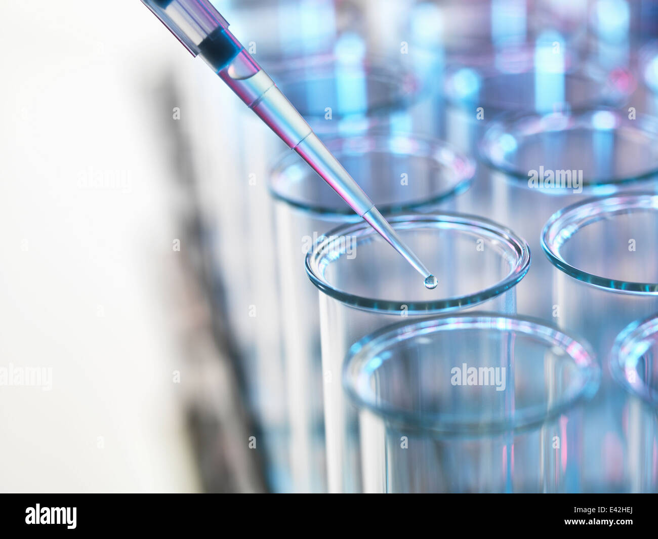 Pipette adding sample to a test tube in a laboratory Stock Photo