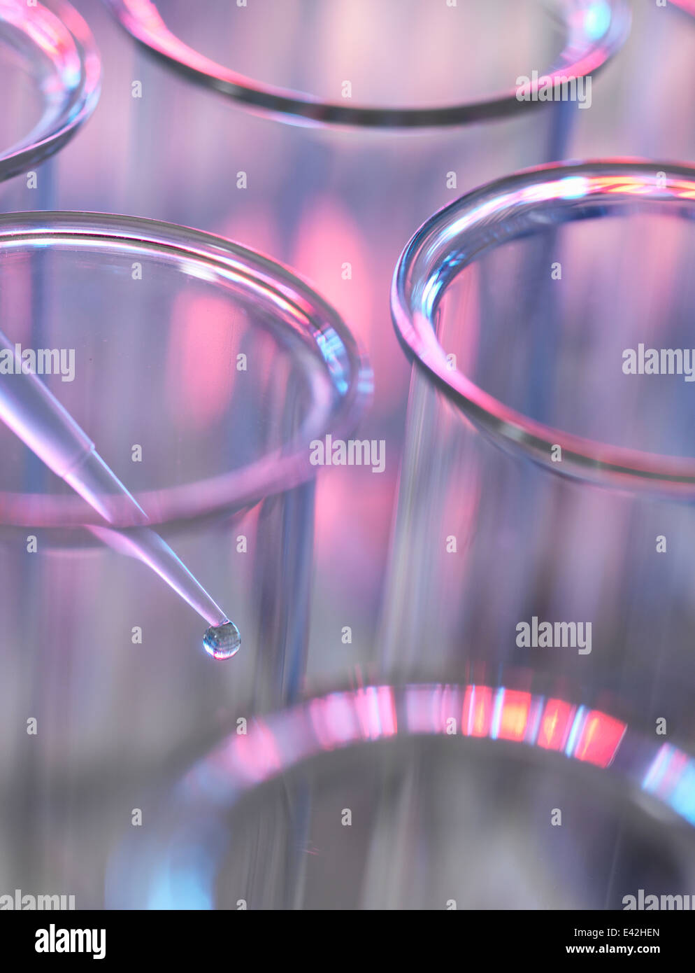 Pipette adding sample to a test tube in a laboratory Stock Photo - Alamy