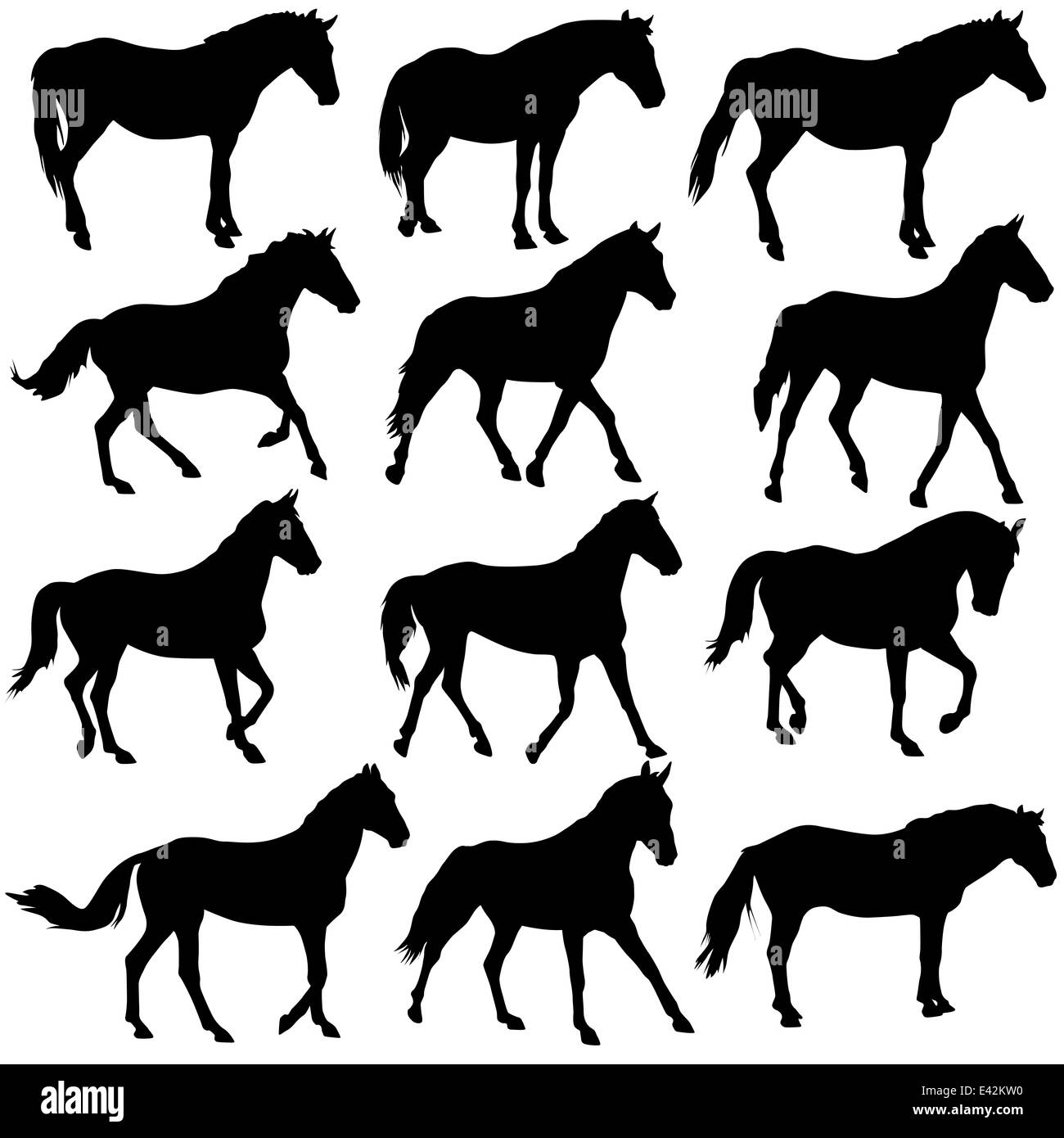 Set vector silhouette of horse Stock Photo - Alamy