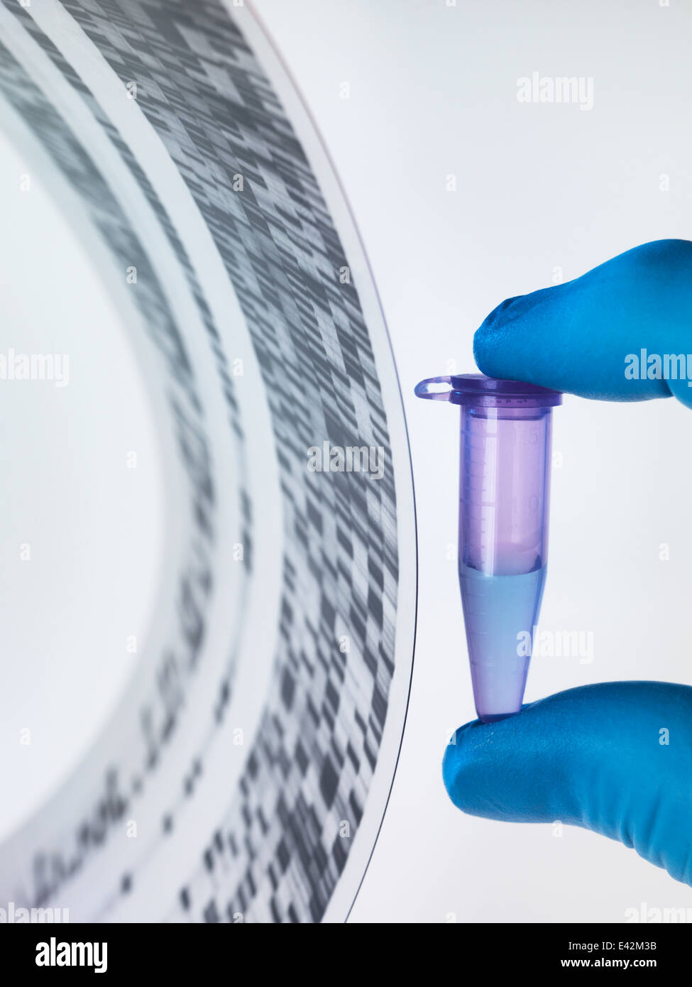 sample and DNA autoradiogram Stock Photo Alamy