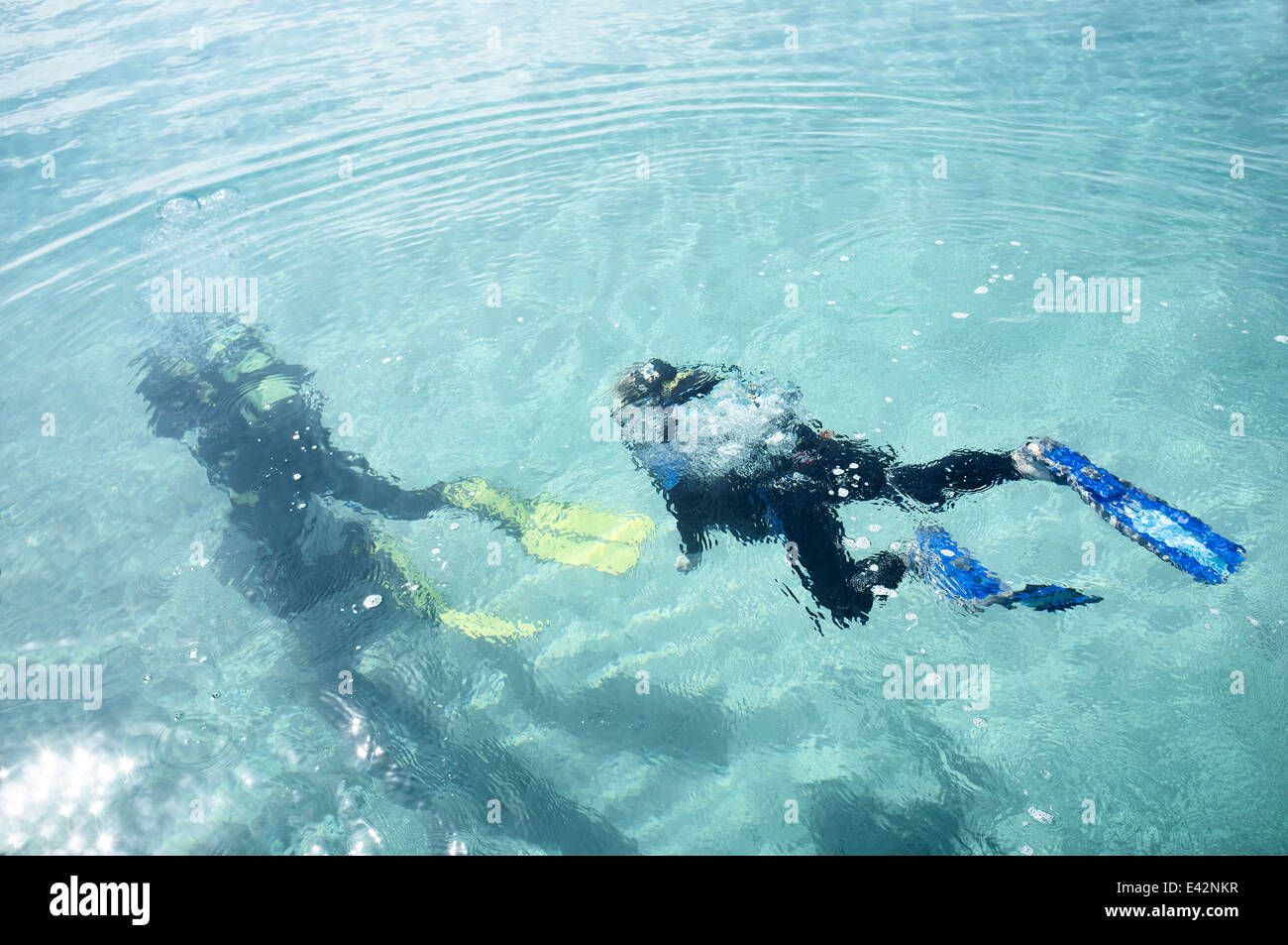 Underwater view of male teacher and boy scuba diving in sea Stock Photo