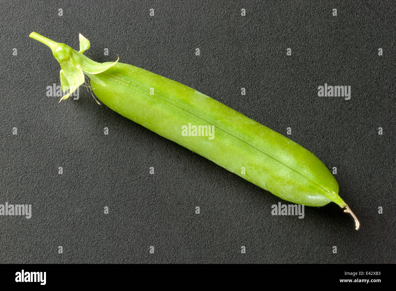 Close-up of a closed fresh pea pod. Stock Photo