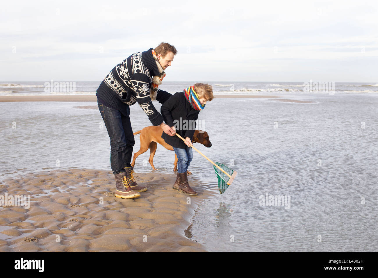 Mid adult man and son fishing on beach, Bloemendaal aan Zee, Netherlands Stock Photo