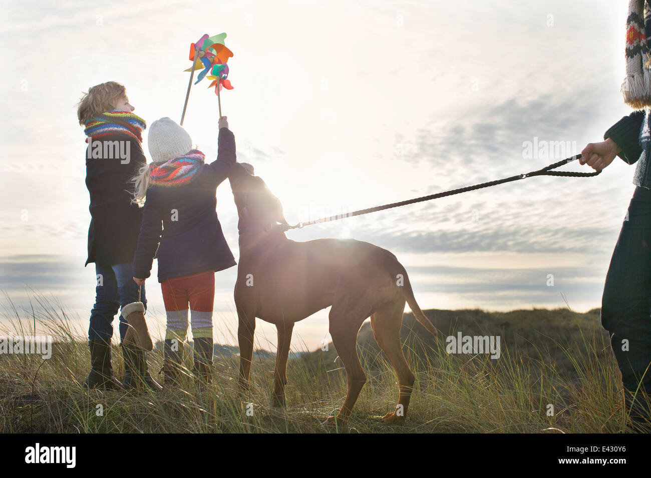 Mid adult man with son, daughter and dog at coast Stock Photo