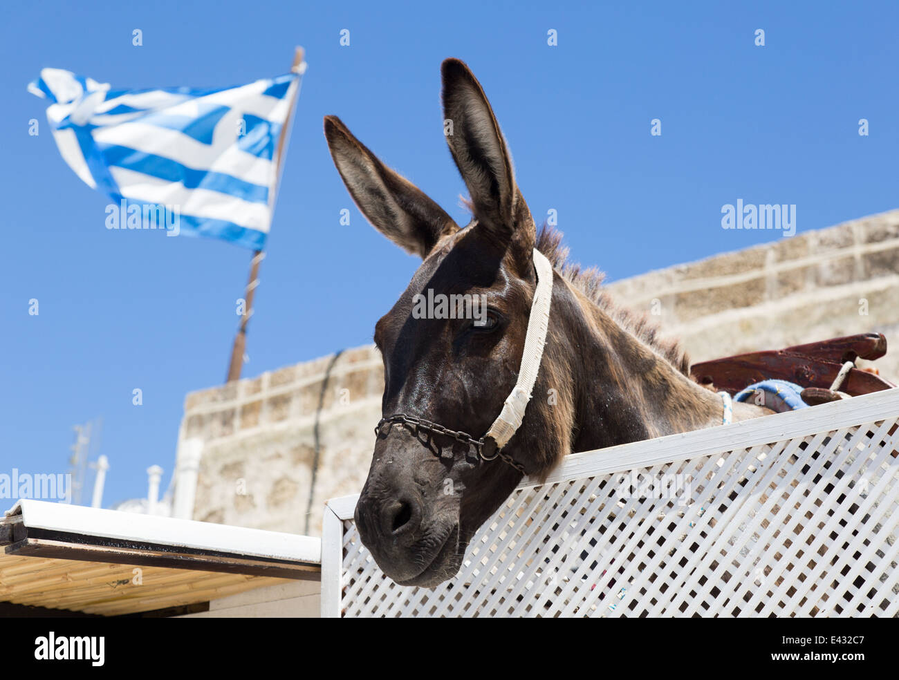 Greek Donkey Lindos Rhodes Greece Stock Photo Alamy
