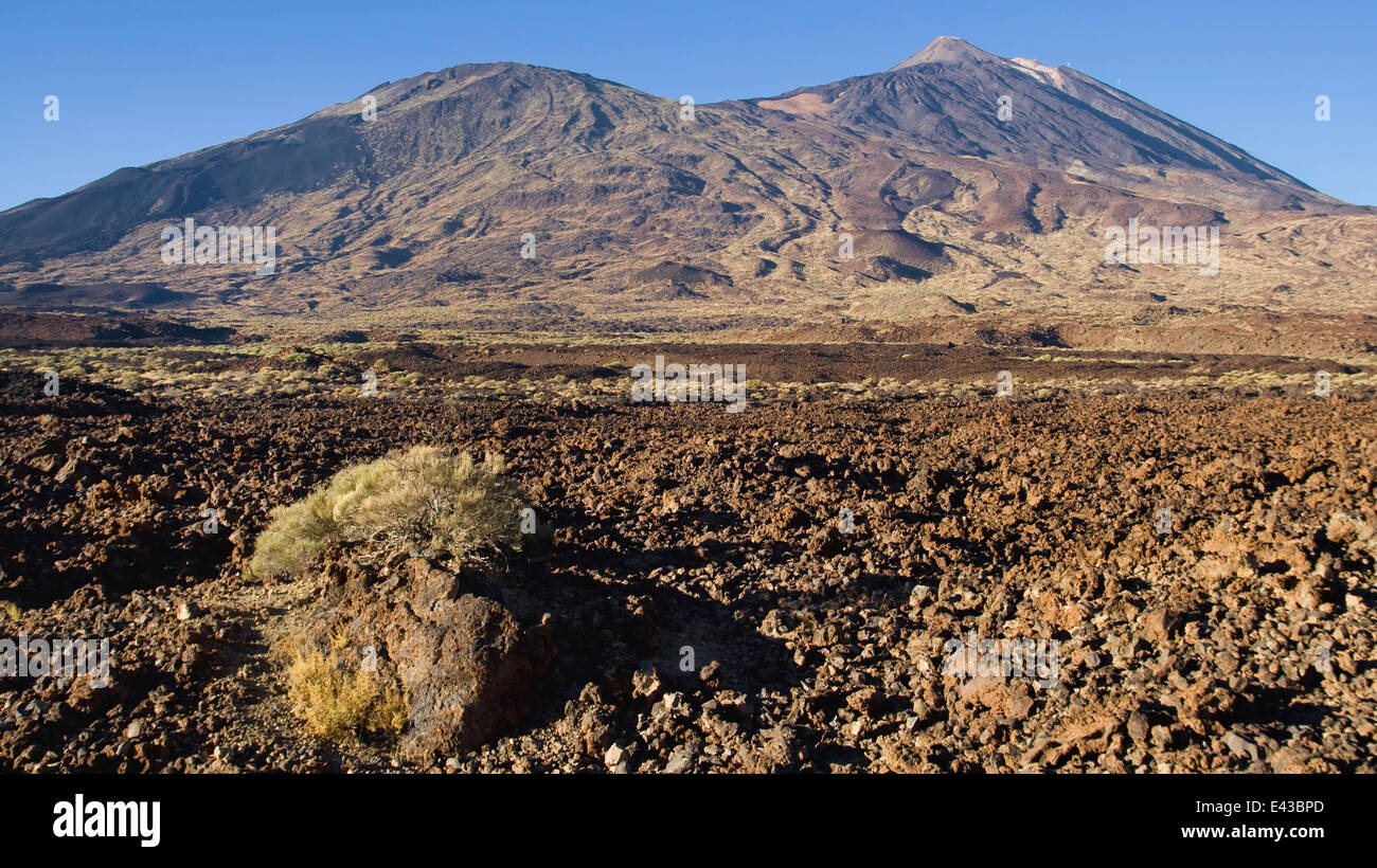 Volcaneos of Pico Viejo and Teide from the Ucanca Plains, Tenerife, Canary Islands. Stock Photo
