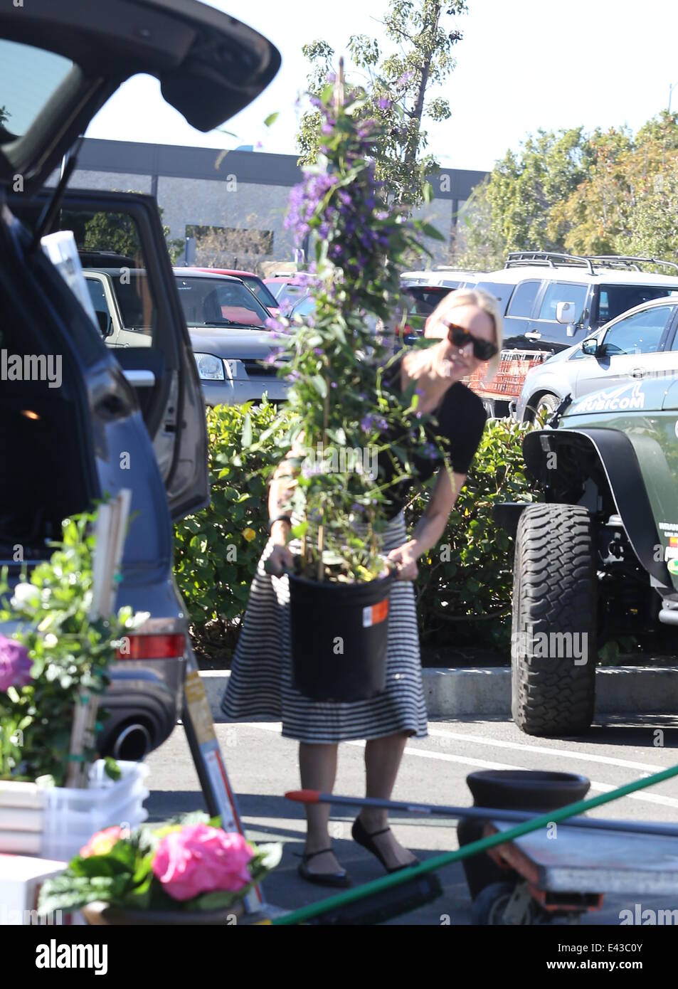 Naomi Watts buys flowers and plants at Home Depot  Featuring: Naomi Watts Where: Los Angeles, California, United States When: 17 Jan 2014 Stock Photo