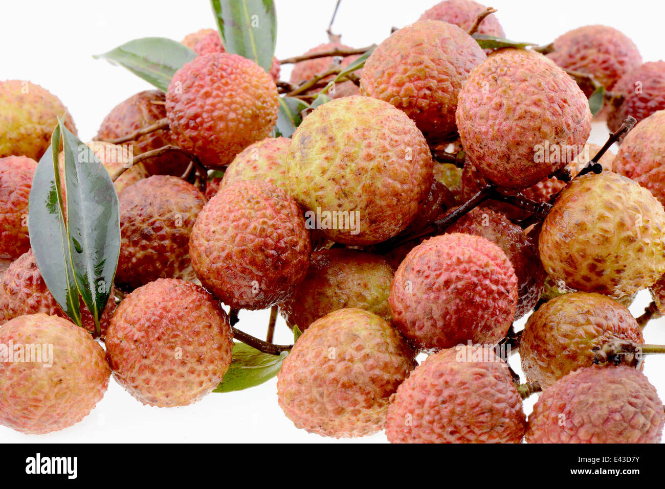 background freshness closeup natural studio close-up macro stem healthy vitamin group color mature nutrition health image food Stock Photo