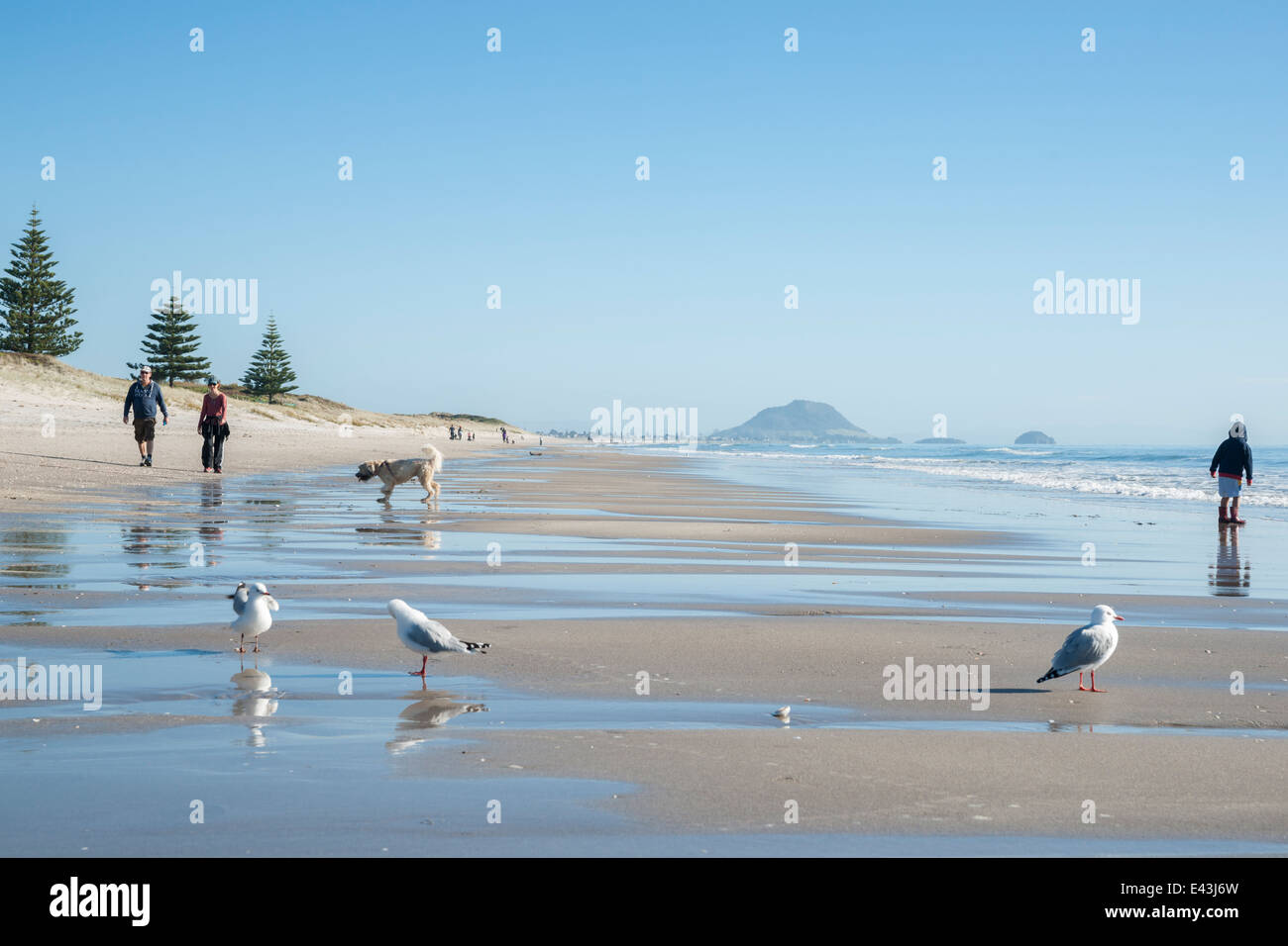 Papamoa beach hires stock photography and images Alamy