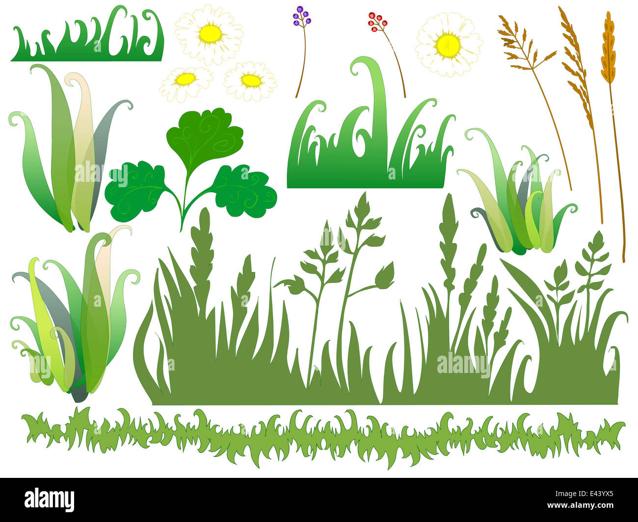 The illustration of cartoon grass with separated parts of the drawing on a  white background Stock Photo - Alamy