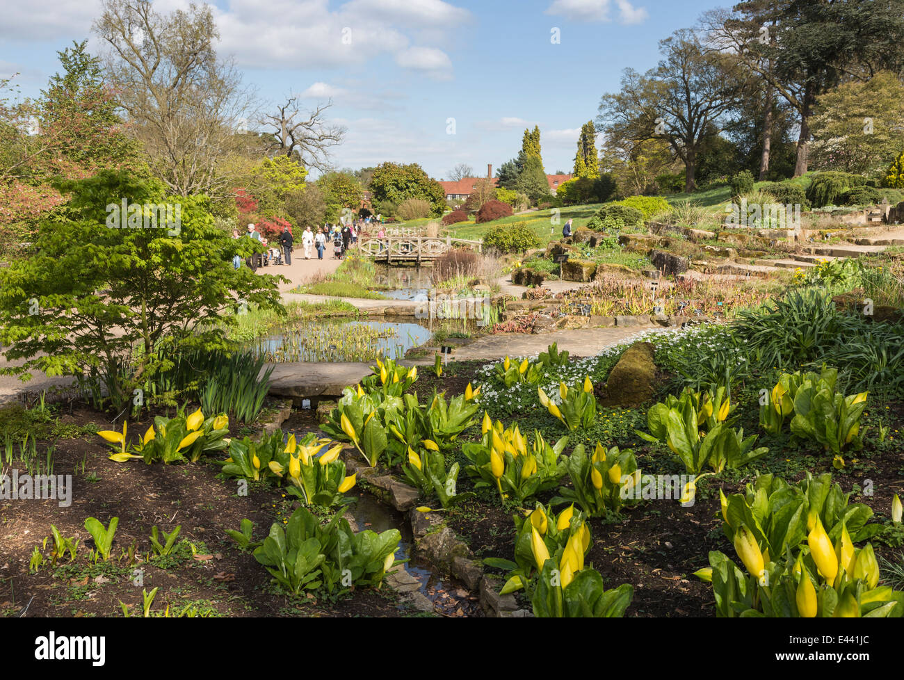 Surrey sightseeing the popular RHS botanical gardens at Wisley Surrey