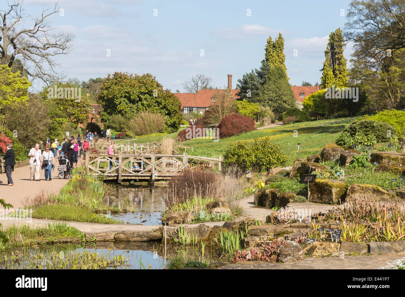 RHS gardens at Wisley, Surrey, UK, in springtime - rockery with pond and wooden bridge, blue sky white clouds Stock Photo