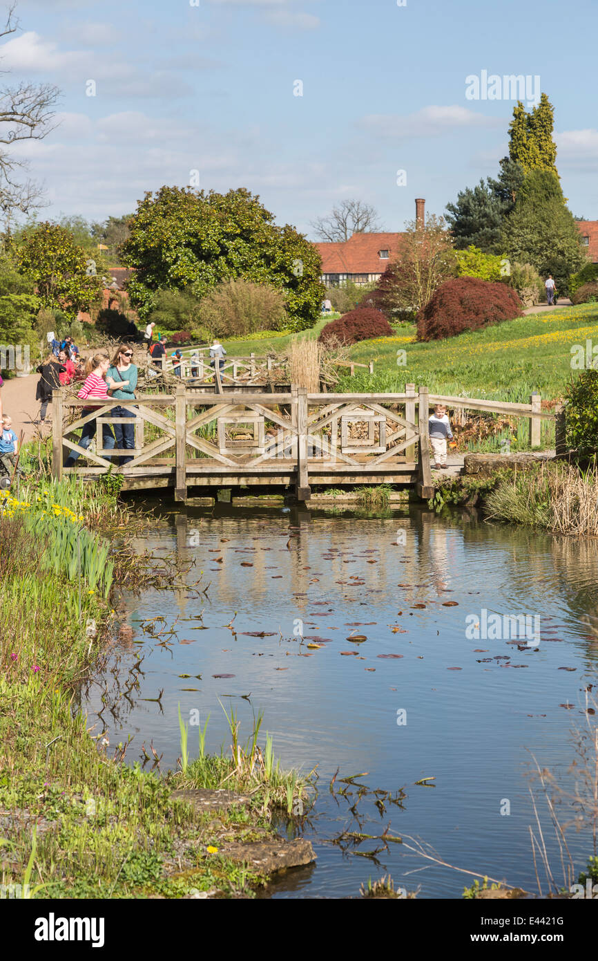 RHS gardens at Wisley, Surrey, UK, in springtime - pond and wooden bridge, blue sky, white clouds Stock Photo