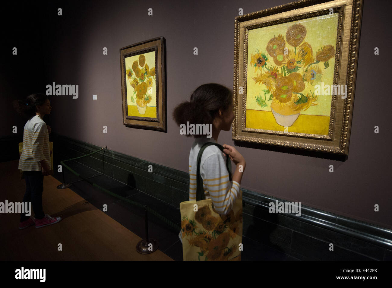 Two versions of Vincent Van Gogh's Sunflowers are reunited in London at