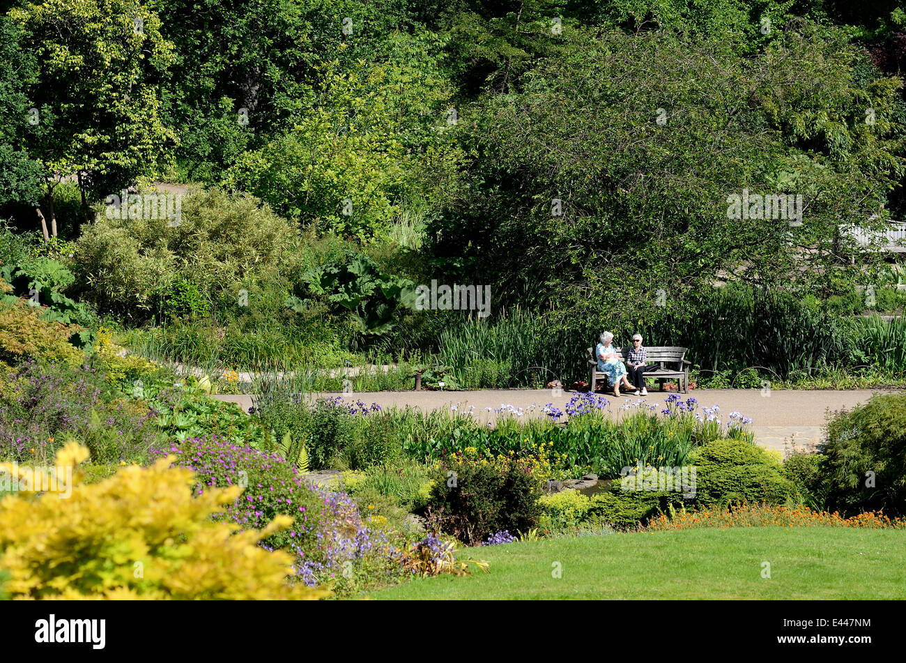 Two elderly ladies sitting on bench in formal gardens Stock Photo Alamy