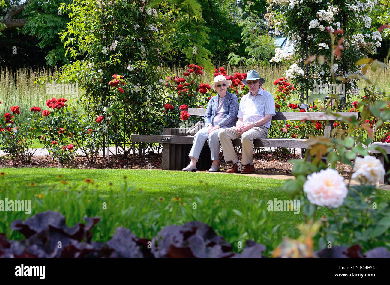 Elderly couple sitting on seat in flower garden Stock Photo Alamy