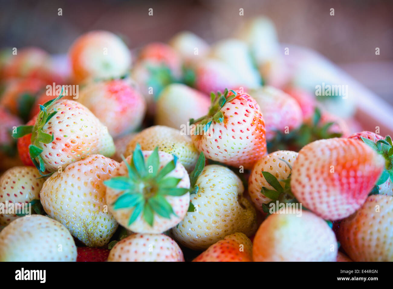 Strawberries in a basket on the garden farm Stock Photo - Alamy