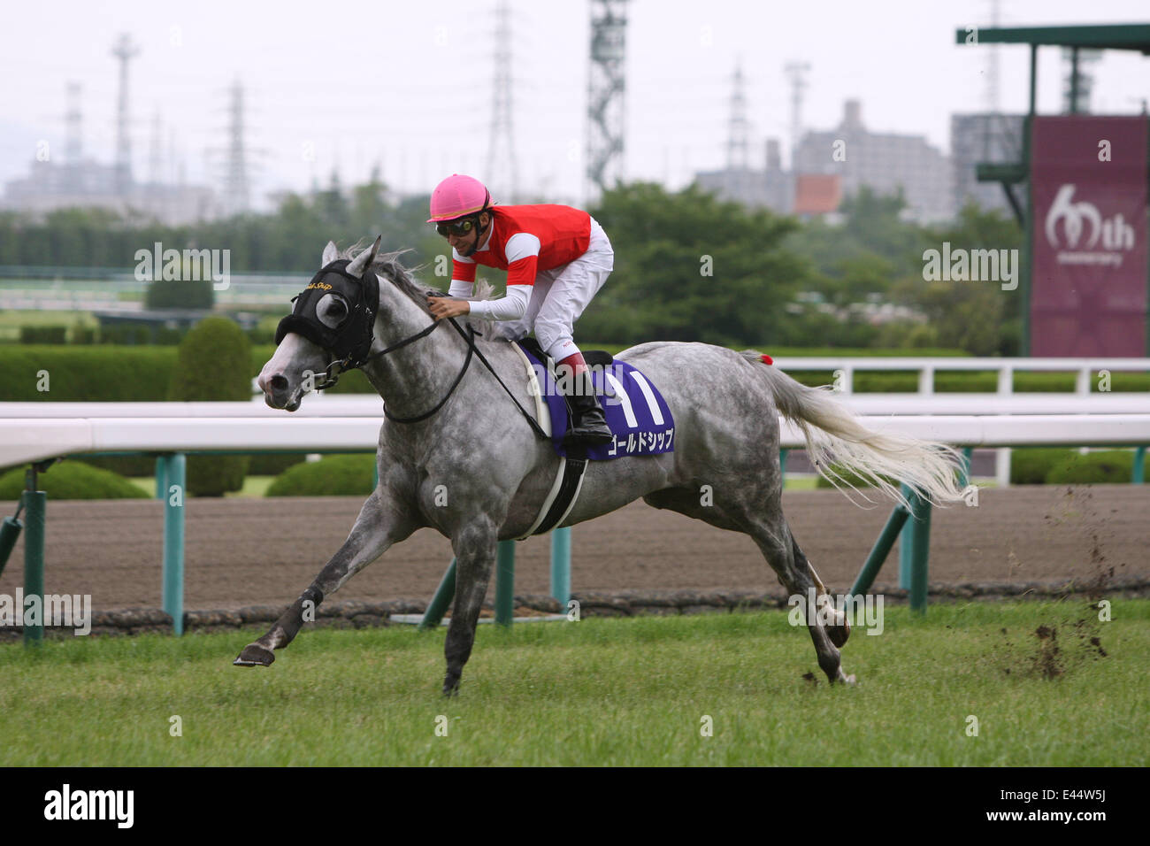 Hyogo, Japan. 29th June, 2014. Gold Ship (Norihiro Yokoyama) Horse
