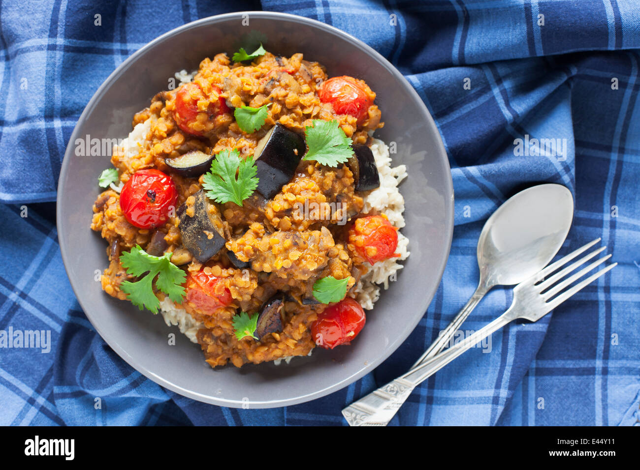 Lentil and aubergine vegetarian curry. Stock Photo