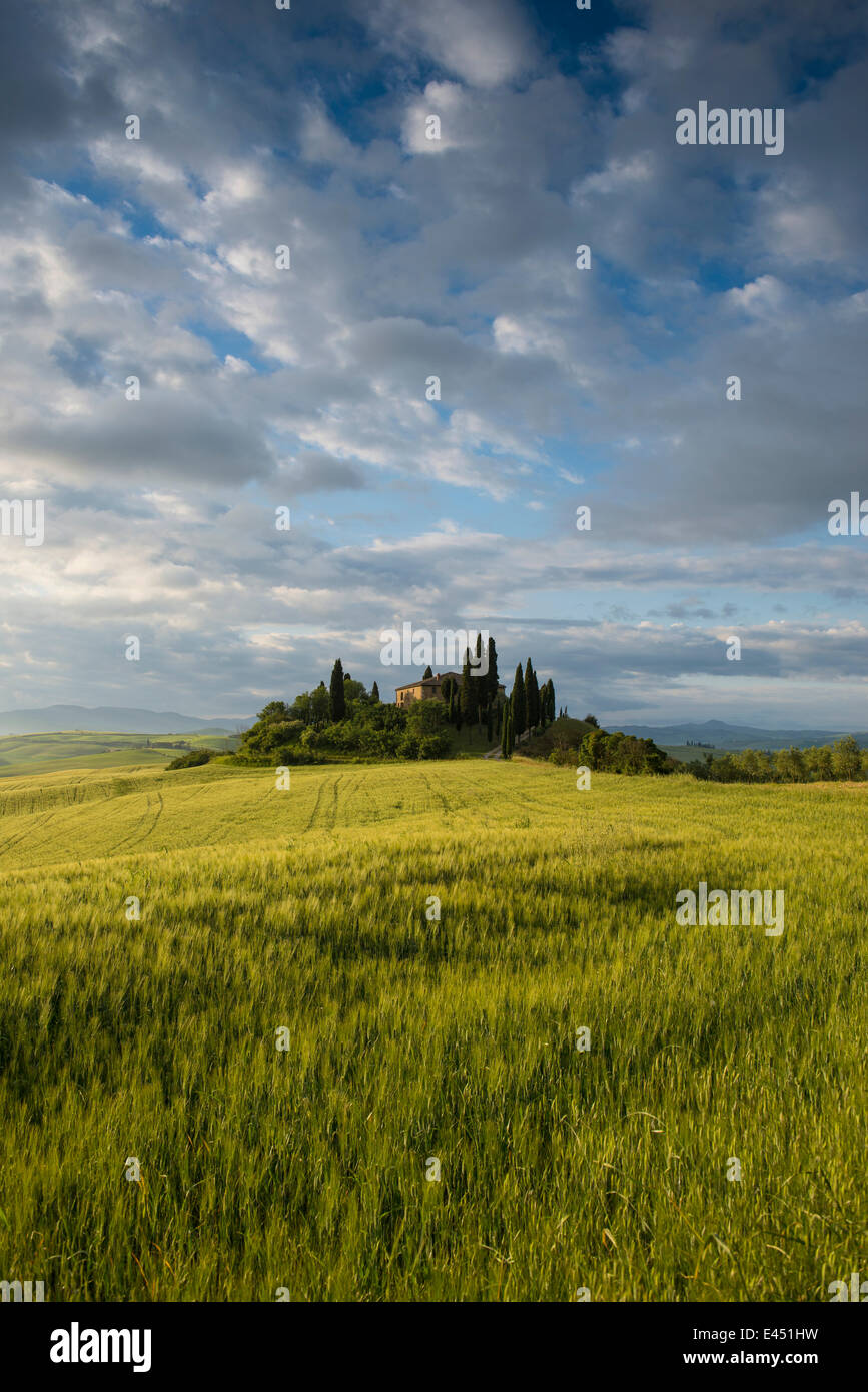 Landscape with hills and farm with cypress trees, morning light, Val d&#39;Orcia, UNESCO World Heritage Site Stock Photo