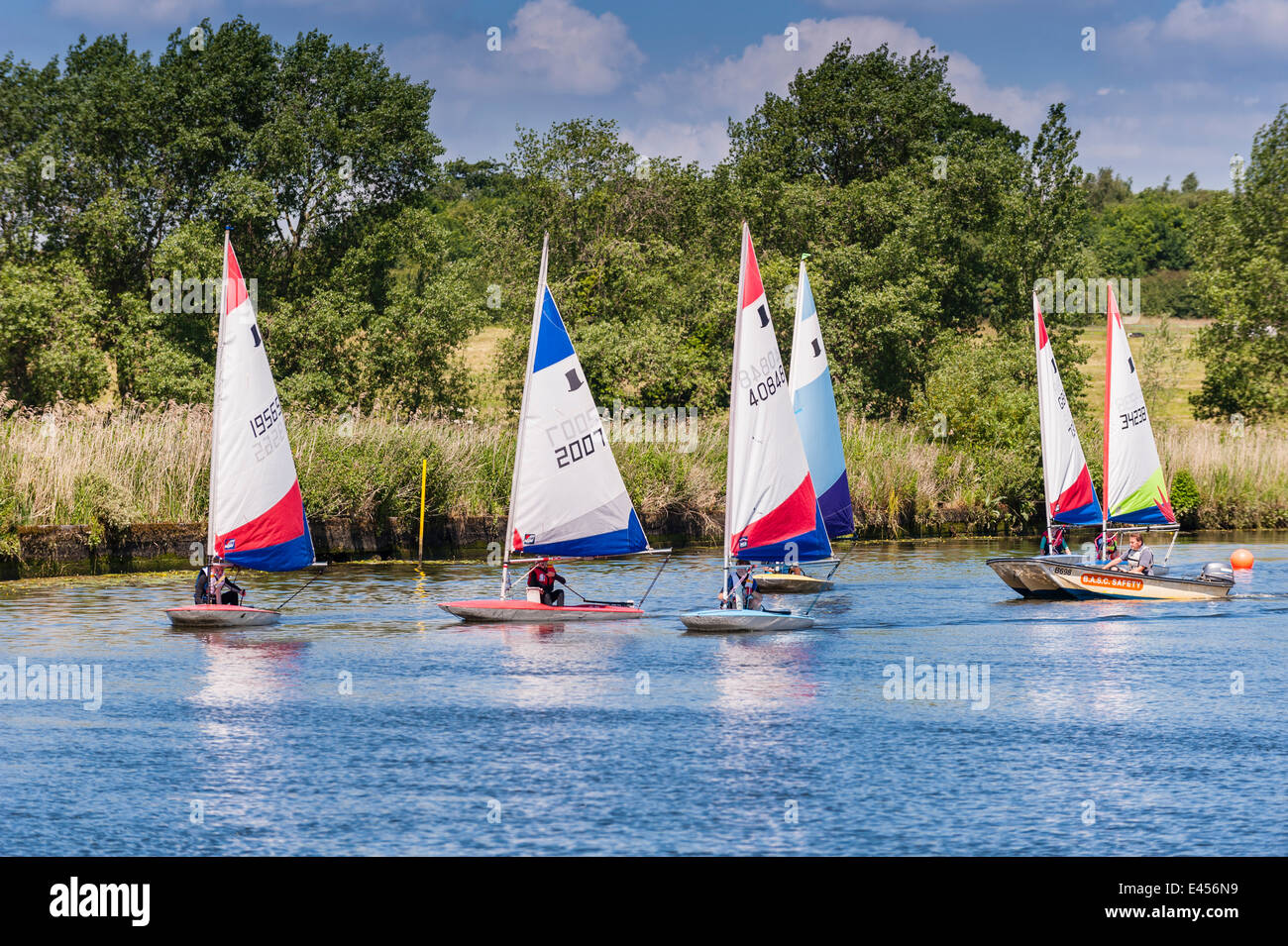 Topper dinghies at Beccles Amateur Sailing Club on the river Waveney at Beccles , Suffolk , England , Britain , Uk Stock Photo