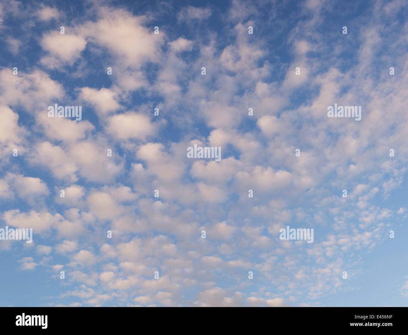 Altocumulus undulatus. Blue Sky and Cloud patterns Stock Photo