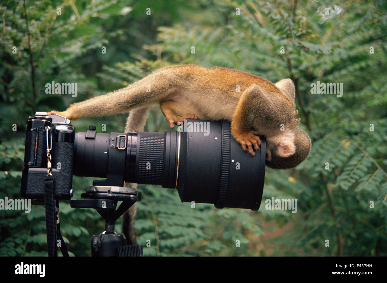 интерес и любопытство.