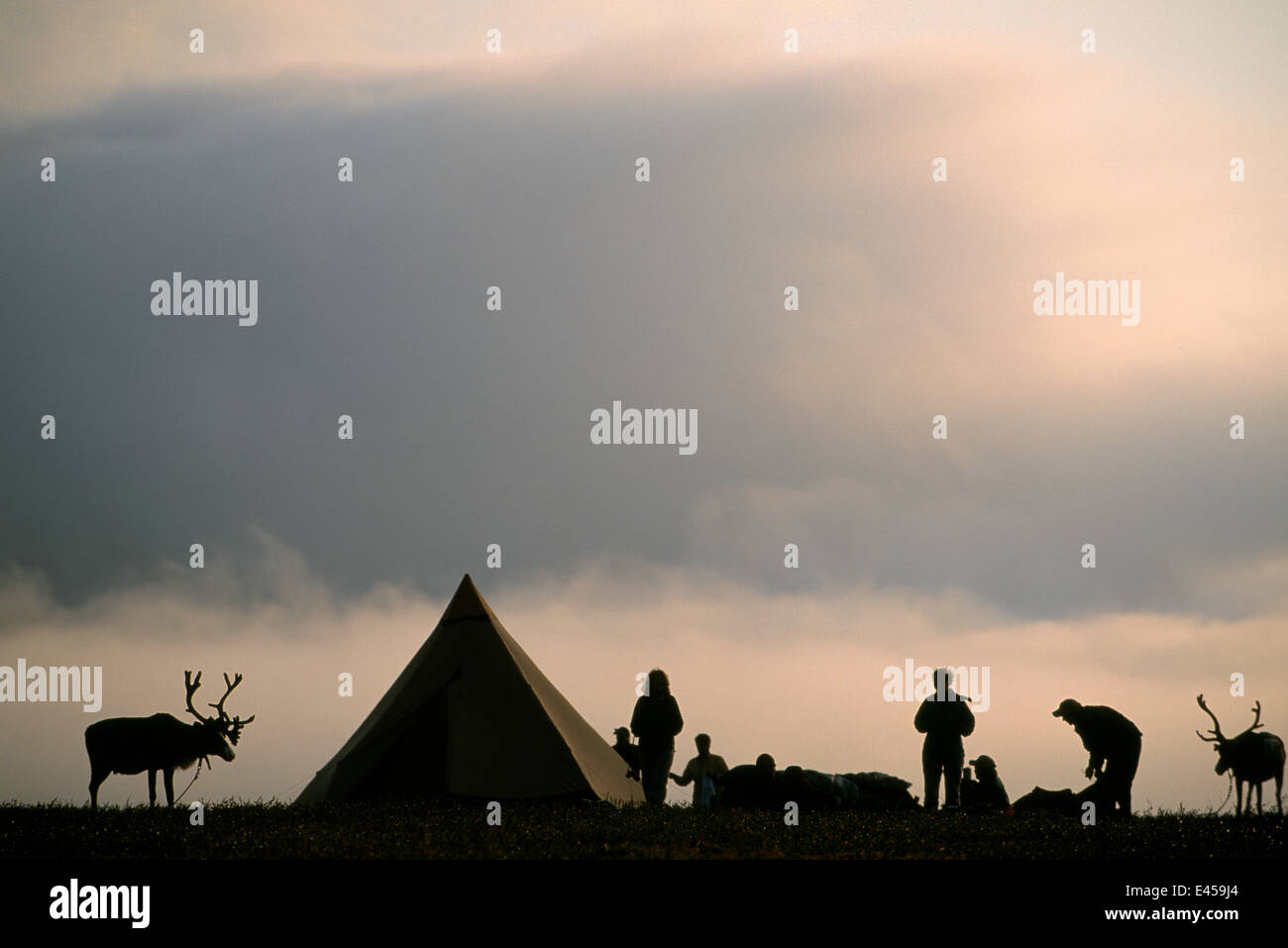 Silhouette of ecotourist Reindeer trek camp site with Saami, Lapland, Sweden. Stock Photo