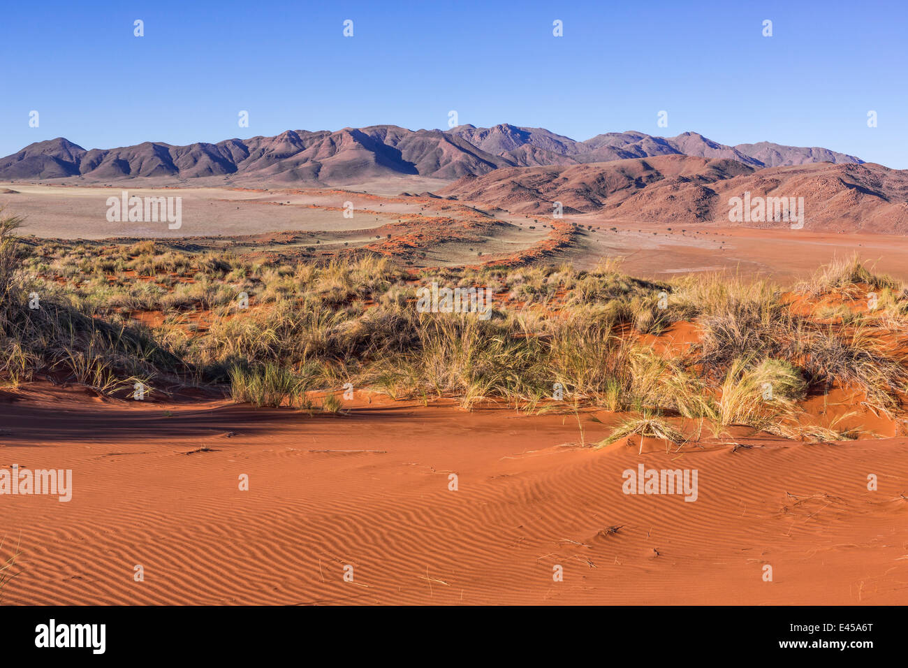 The NamibRand Nature Reserve, Namibia Stock Photo