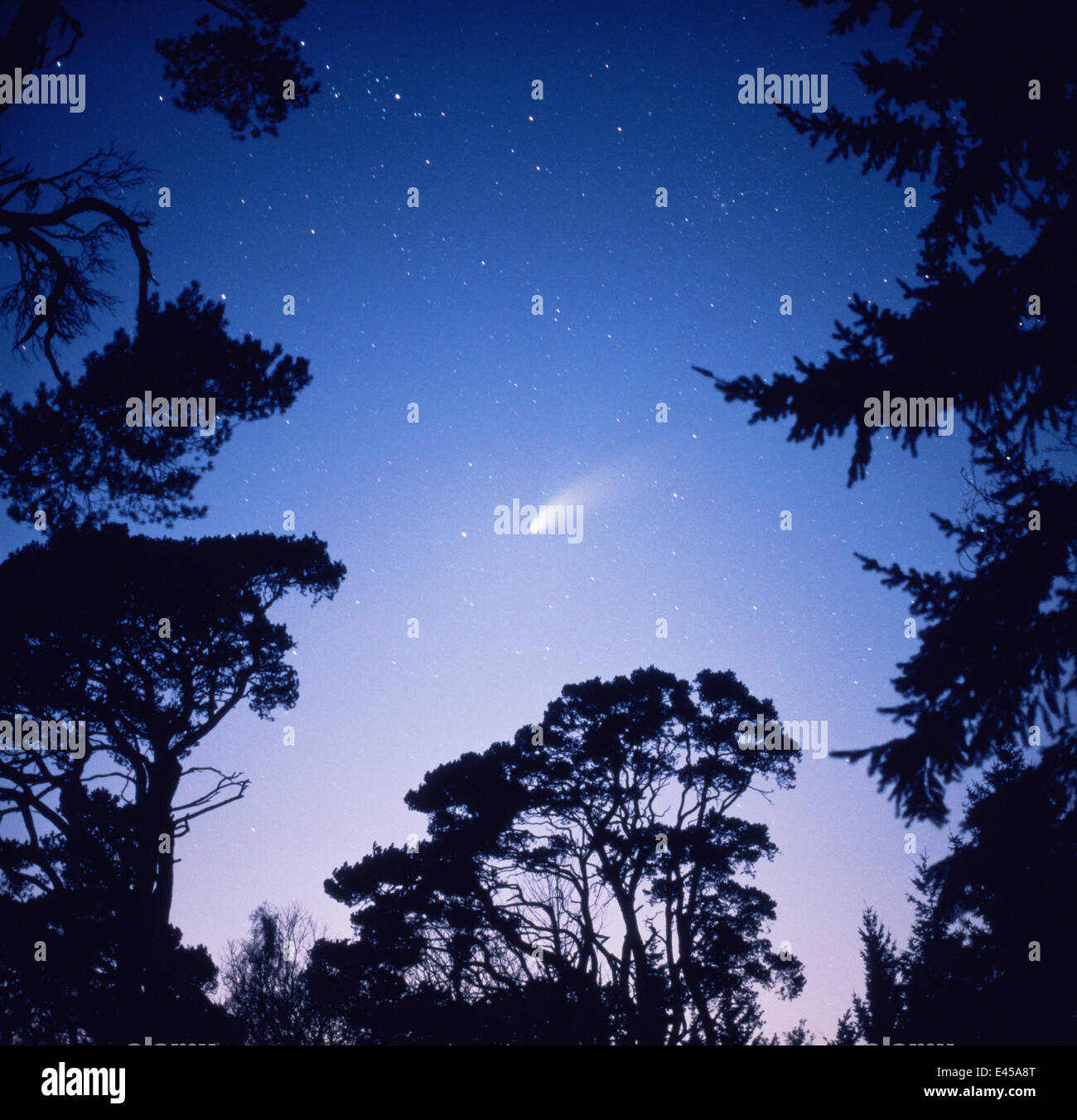 Comet Hale Bopp seen from Southern England, February 1997 Stock Photo