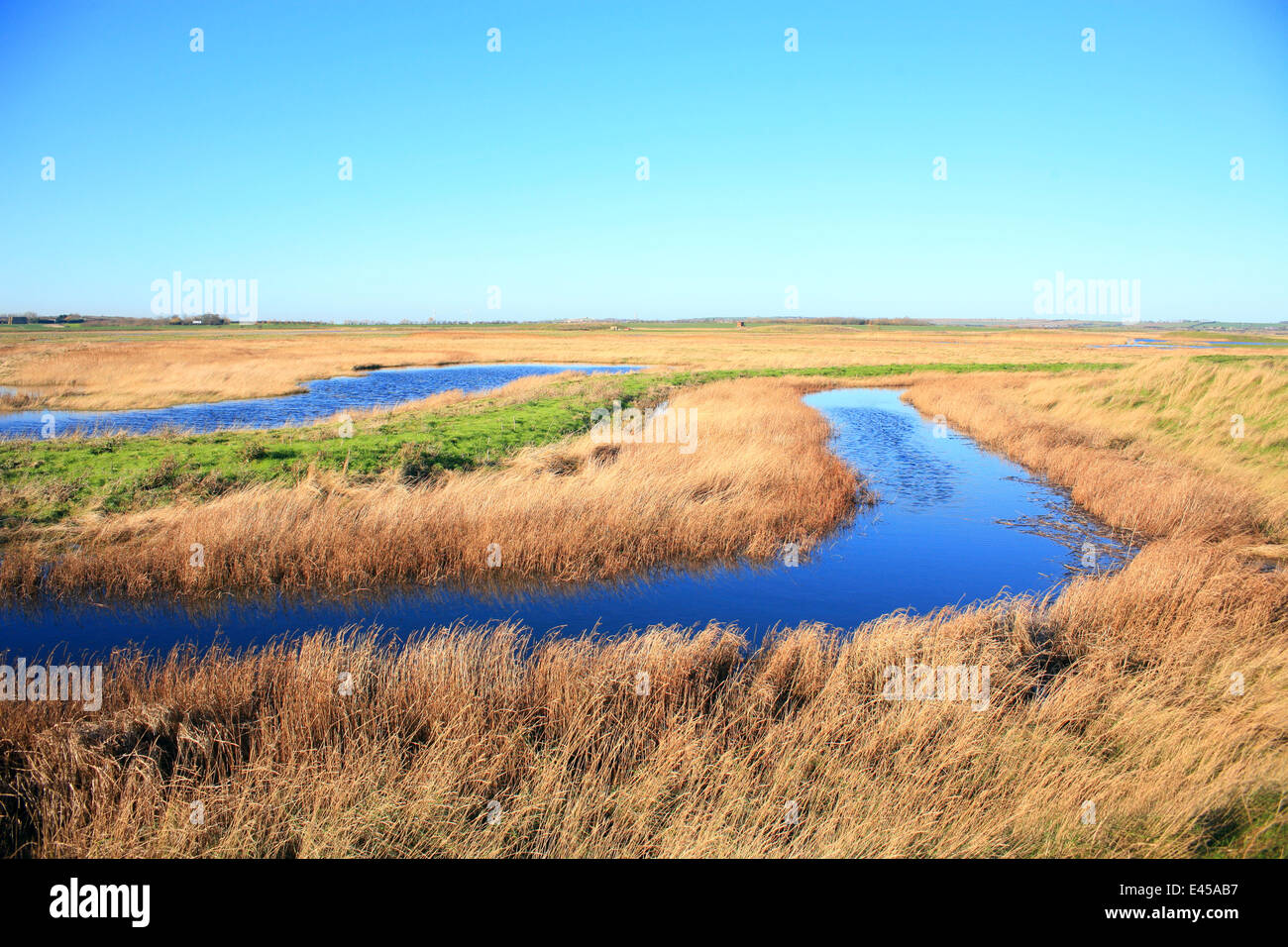 Isle of sheppey marsh hi-res stock photography and images - Alamy