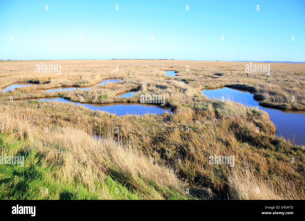 Isle of sheppey marsh hi-res stock photography and images - Alamy